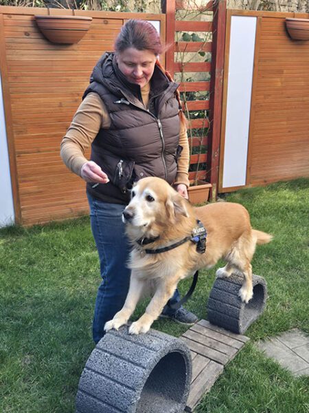 Hund trainiert seine Koordination und Bindung im DogSkills-Kurs im Hundezentrum Kuppenheim – gezielte Förderung durch spannende Übungen