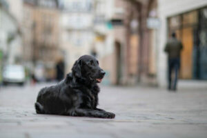 Bild von Gutes Benehmen