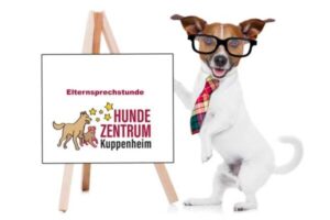 Ein kleiner Hund mit Brille und bunter Krawatte steht aufrecht neben einer Staffelei, auf der „Elternsprechstunde – Hundezentrum Kuppenheim“ steht. Das humorvolle Bild vermittelt eine freundliche, offene Atmosphäre für ein informatives Gesprächsangebot im Hundetraining.