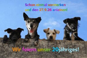 Feierliche-Hundebande-zum-Jubiläum