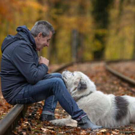 Thomas vom Hundezentrum Kuppenheim sitzt in inniger Verbundenheit mit einem großen weiß-grauen Herdenschutzhund auf stillgelegten Bahngleisen inmitten eines herbstlich gefärbten Waldes. Während der Hund entspannt im Laub liegt, blickt er vertrauensvoll zu Thomas auf – ein bewegender Moment stiller Kommunikation zwischen Mensch und Hund.“