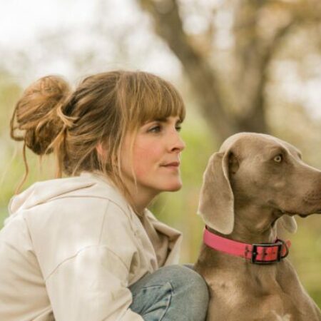 Hundeschule Erziehung - Beschäftigung - Problemhund - Seminare - Aktionen - Gesundheit Mensch schaut mit Hund in die Ferne