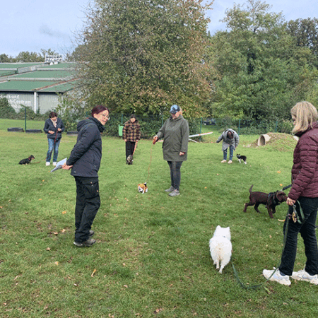Trainerin-Dinah im Einsatz