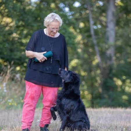 Apportiertraining im Hundezentrum Kuppenheim
