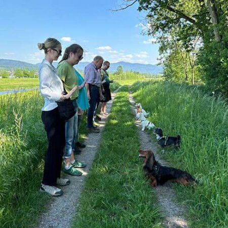 Mehrere Hundehalter:innen stehen mit ihren Hunden auf einem Feldweg – praktische Übungseinheit im Hundeführerscheinkurs