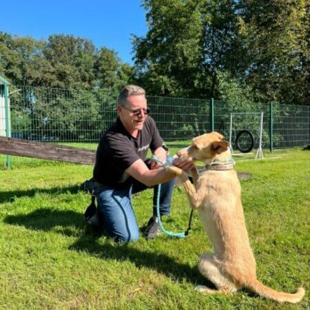 Individuelle Trainingseinheit im Premiumclub mit Mensch und Hund